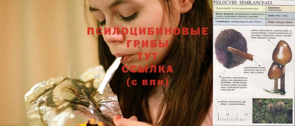 прущая мука Нязепетровск