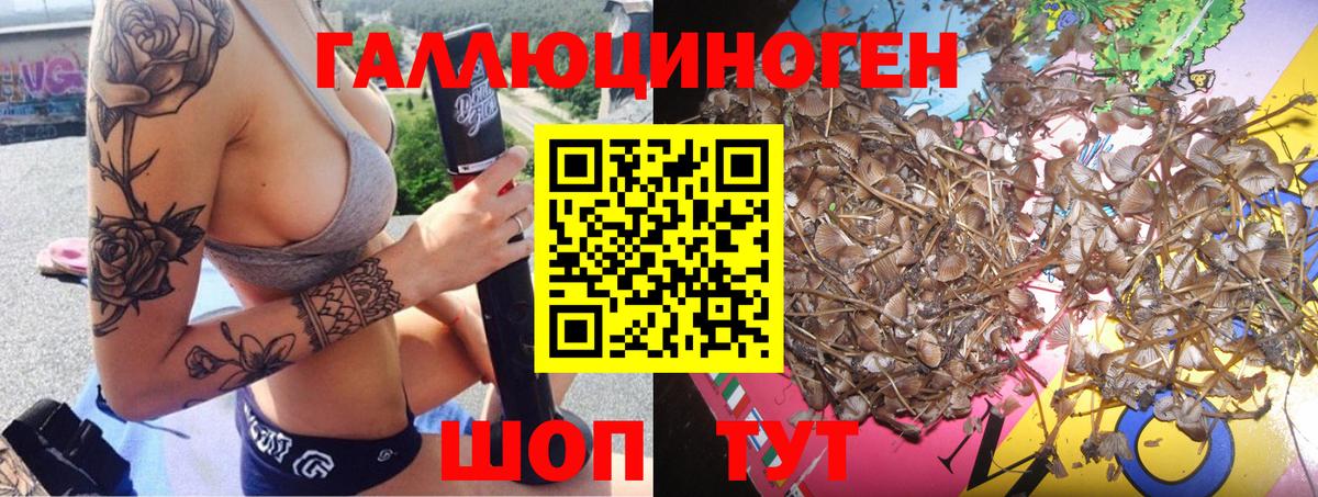 Губкинский  Псилоцибиновые грибы ЛСД  Вход с VPN 