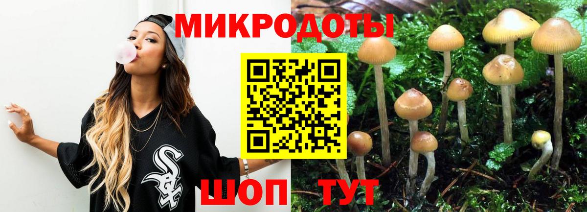 Галлюциногенные грибы Cubensis Губкинский